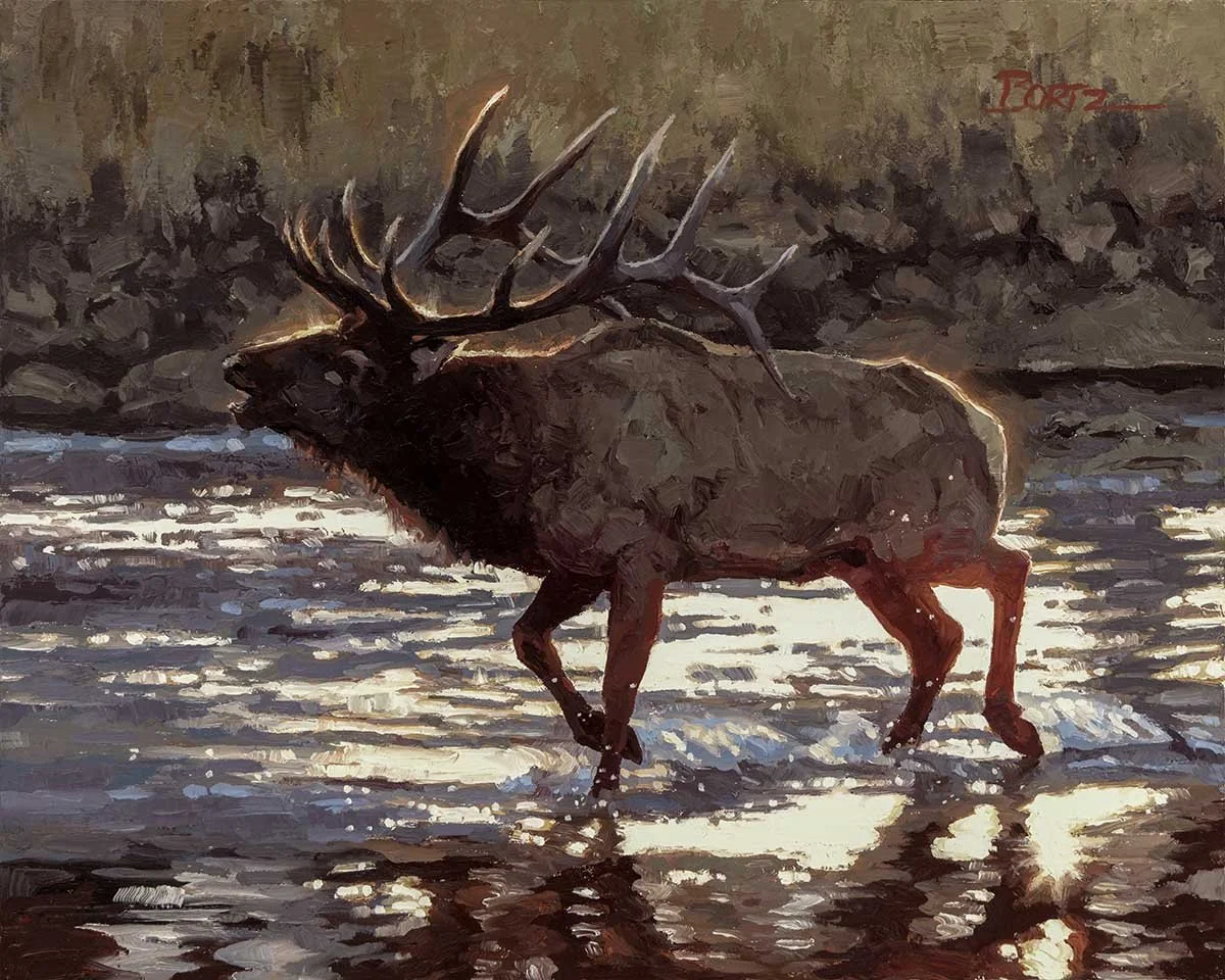 Jim Bortz — Dick Idol Signature Gallery